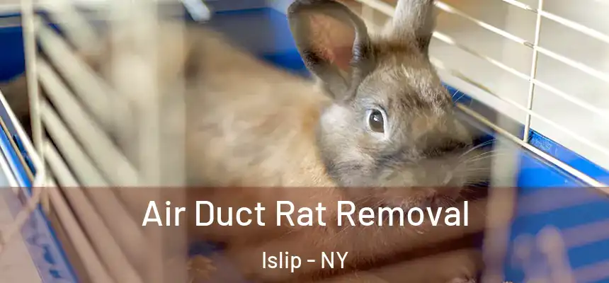  Air Duct Rat Removal Islip - NY