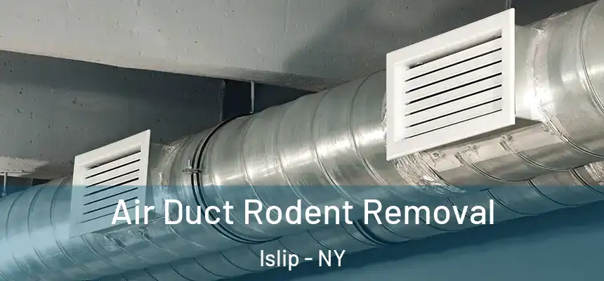  Air Duct Rodent Removal Islip - NY