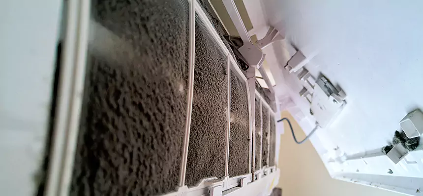 Preventive Air Duct Bacteria Removal in Islip