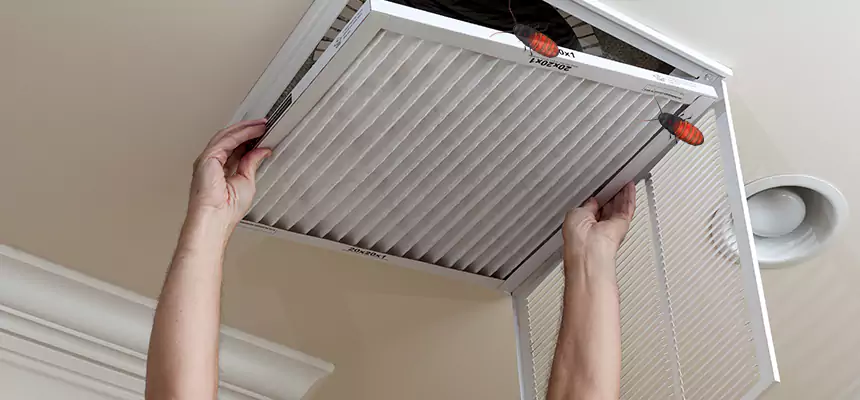 Preventive Cockroach-Proofing for Ducts in Islip