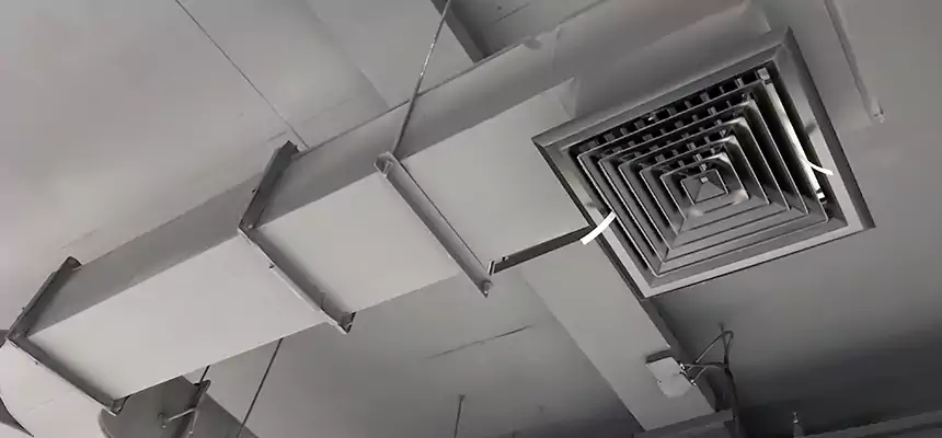 Restorative Allergy Relief Vent Cleaning – Coil, Blower & Housing Detail in Islip