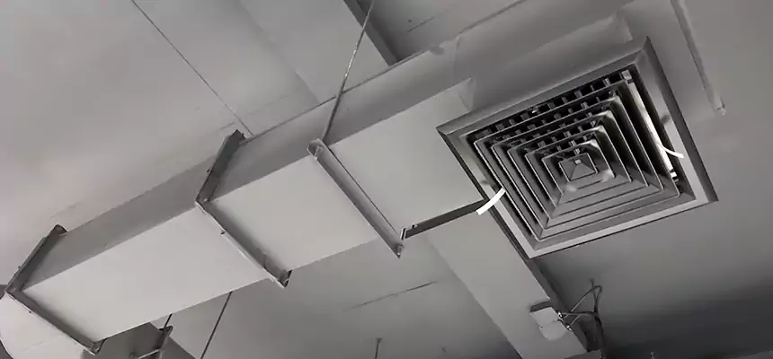 Our Pest Removal From Ducts Services in Islip, NY