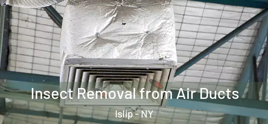  Insect Removal from Air Ducts Islip - NY