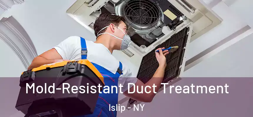  Mold-Resistant Duct Treatment Islip - NY