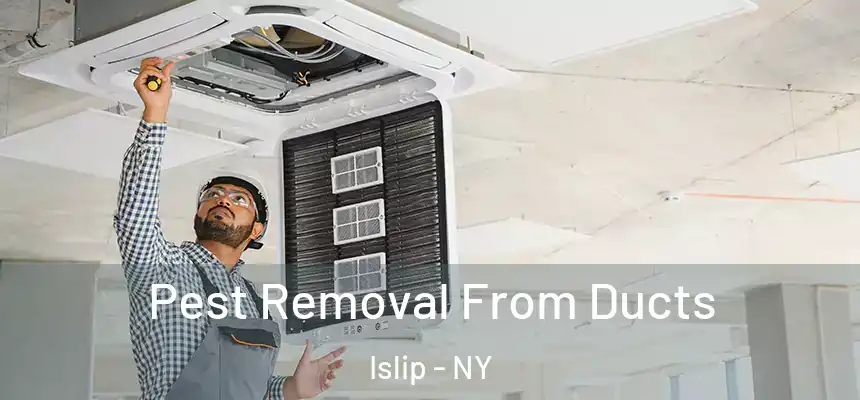  Pest Removal From Ducts Islip - NY