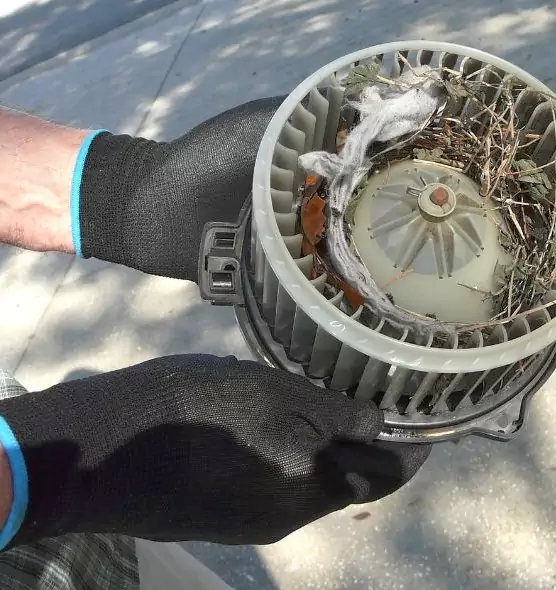 About Air Duct Rat Removal in Islip, NY