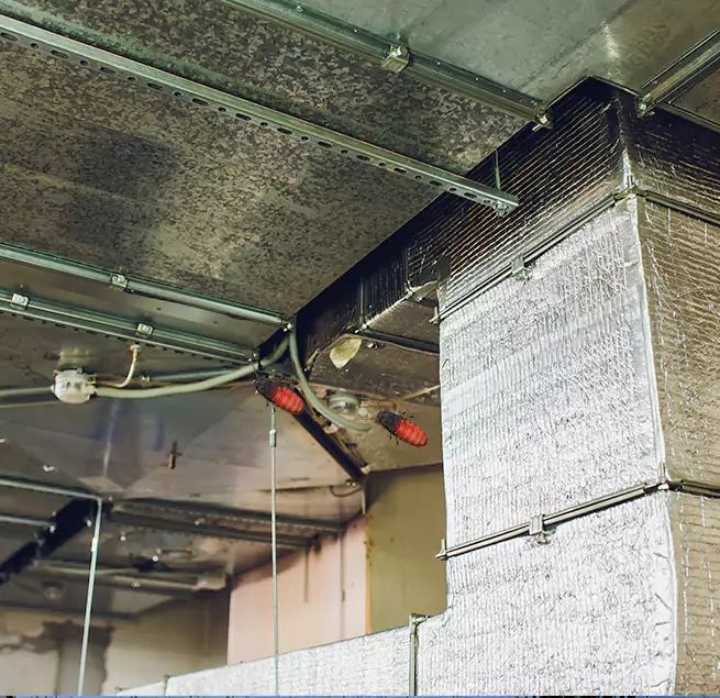 Why Homeowners & Businesses Trust Us in Islip, NY?