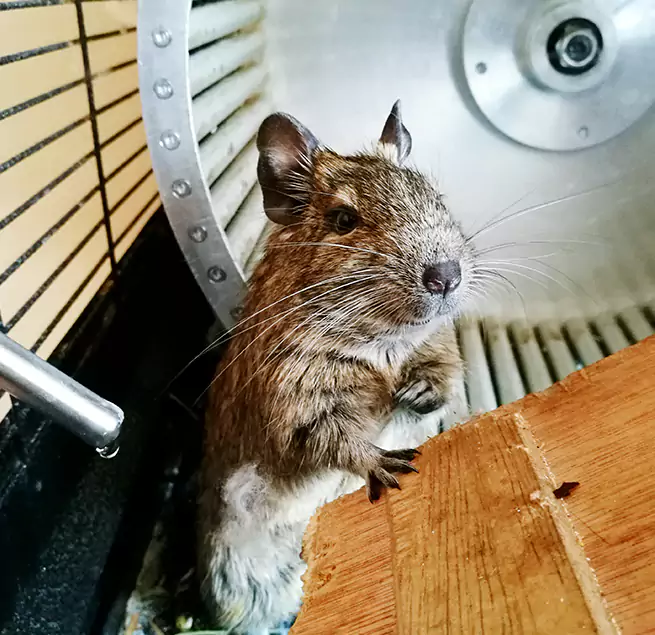 Why Homeowners & Businesses Trust Us Islip, NY?