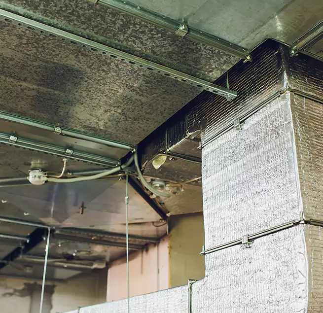 Why Homeowners & Businesses Trust Us in Islip, NY?